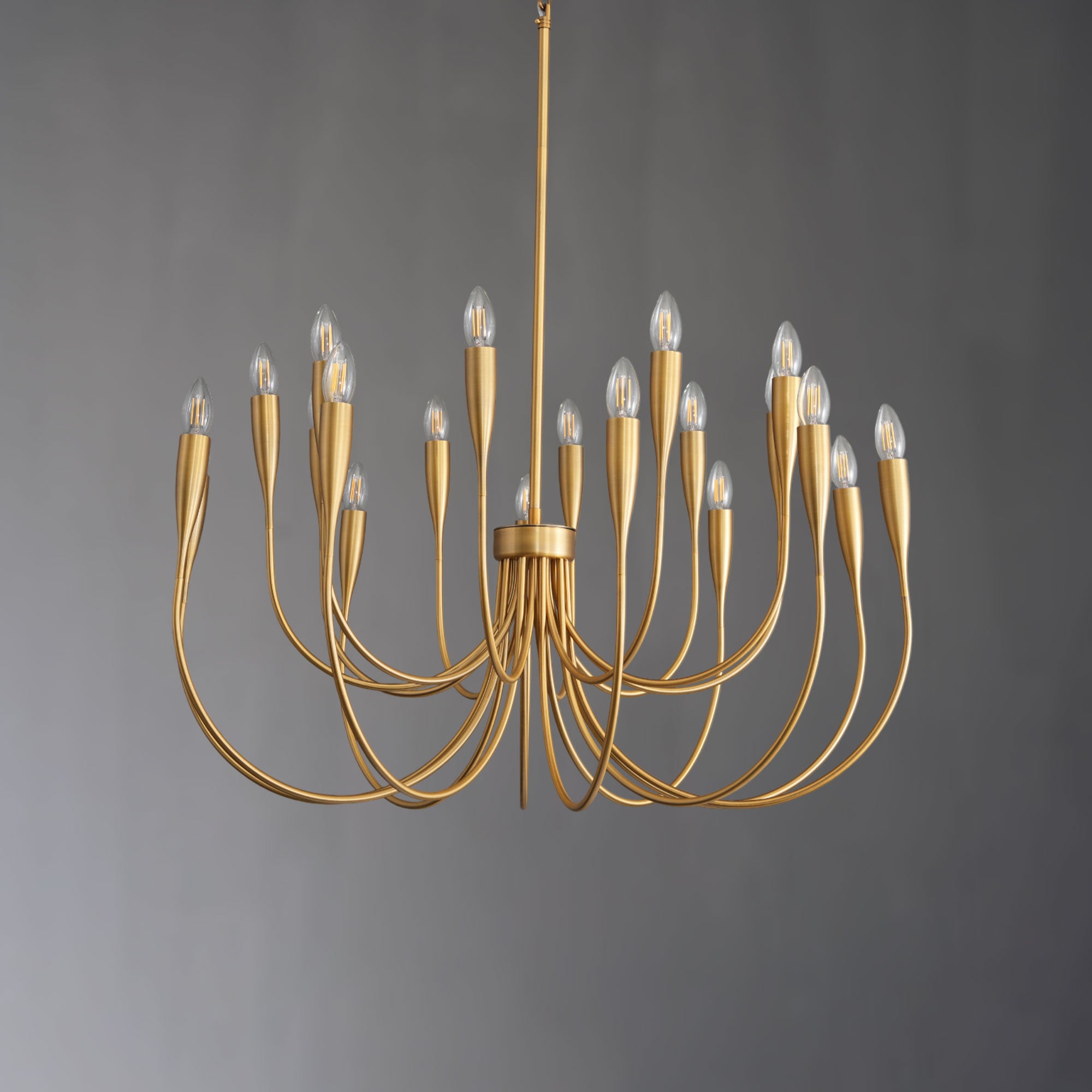 Linary Round Branch Chandelier