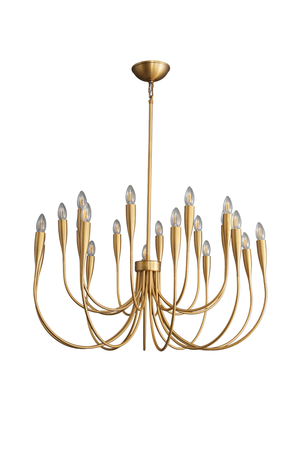 Linary Round Branch Chandelier