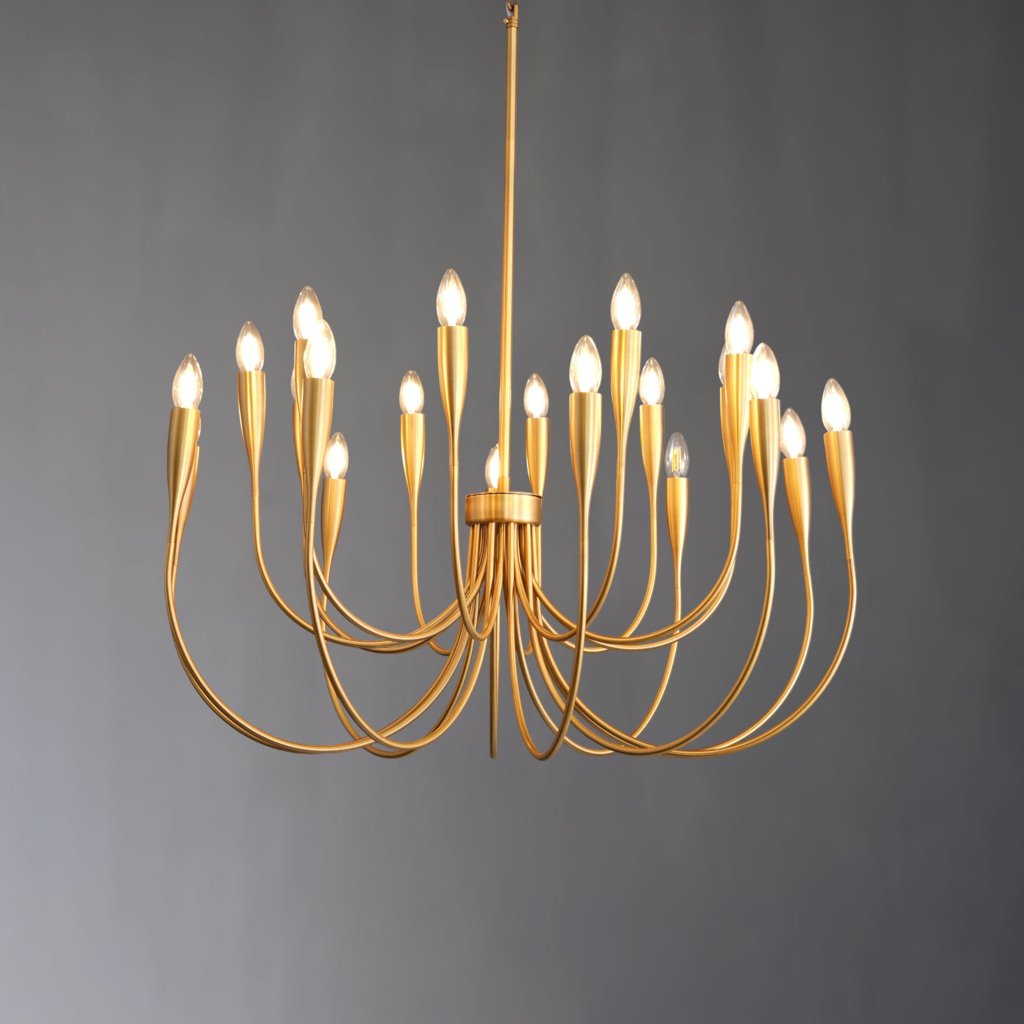 Linary Round Branch Chandelier
