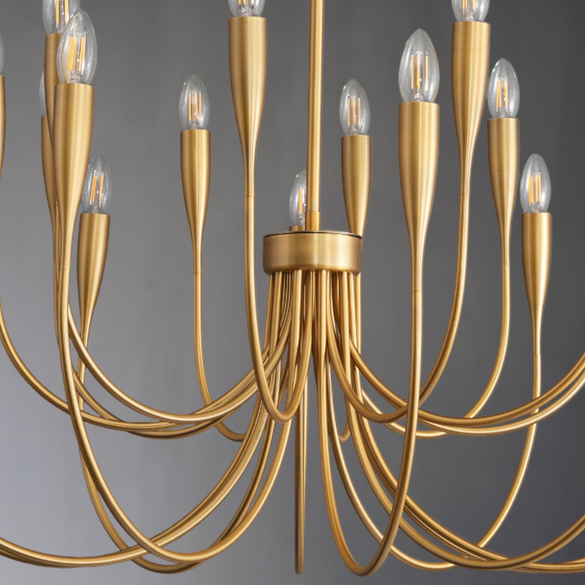 Linary Round Branch Chandelier