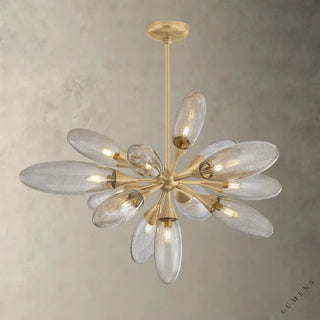 Cordoba Chandelier - 39.5 - chandelier