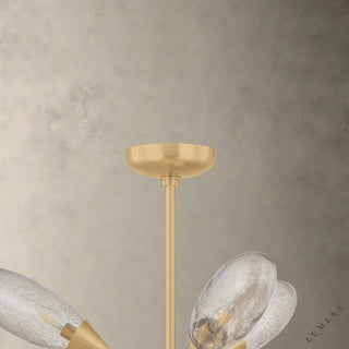 Cordoba Chandelier - chandelier