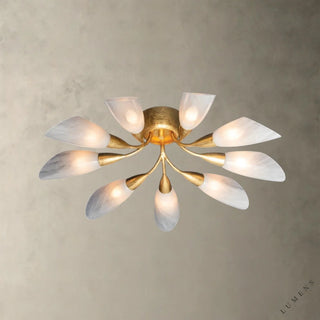 Enfield Semi Flush - chandelier