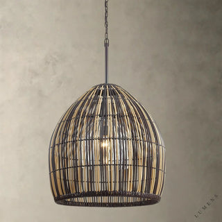 Holden Exterior Chandelier - chandelier