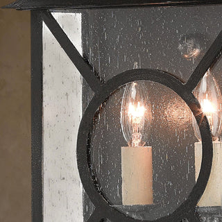 LUMENS LAMP Ripley 中号户外壁灯，黑色锻铁框架搭配透明种子玻璃，展现复古风格。
