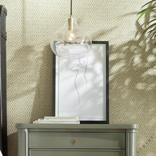 Organic 12’’ Glass Pendant - Pendant Light